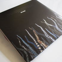 Pelican – City Of Echoes 2LP