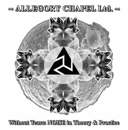 Allegory Chapel Ltd. – Without Tears: Noise in Theory &amp; Practice LP (Rare / Used, VG+)