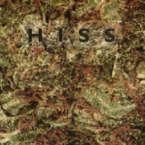Hiss – Alien Bass Soundscapes CD (Rare / Used, VG)