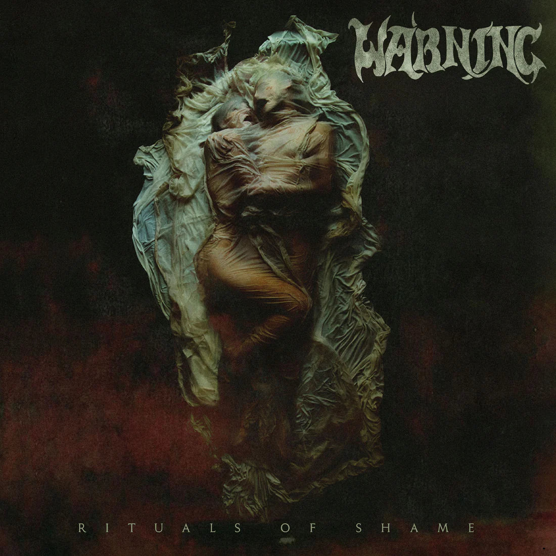 Warning	– Rituals Of Shame LP