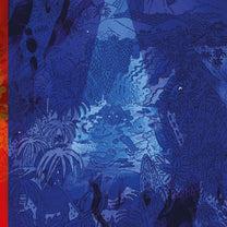 Shoeb Ahmad – A Body Full Of Tears LP