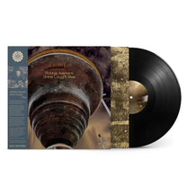 Robbie Avenaim – Shine Caught Blue LP