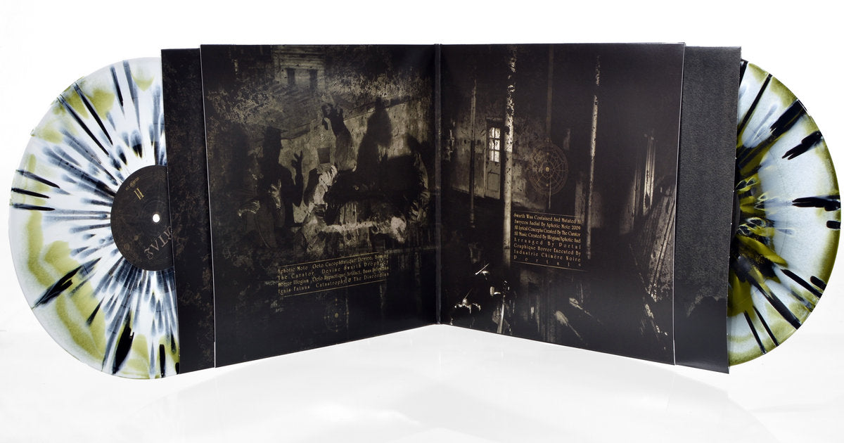 Portal – Swarth 2LP