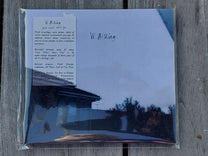 Vi Aisling – Love Won't Save You CD