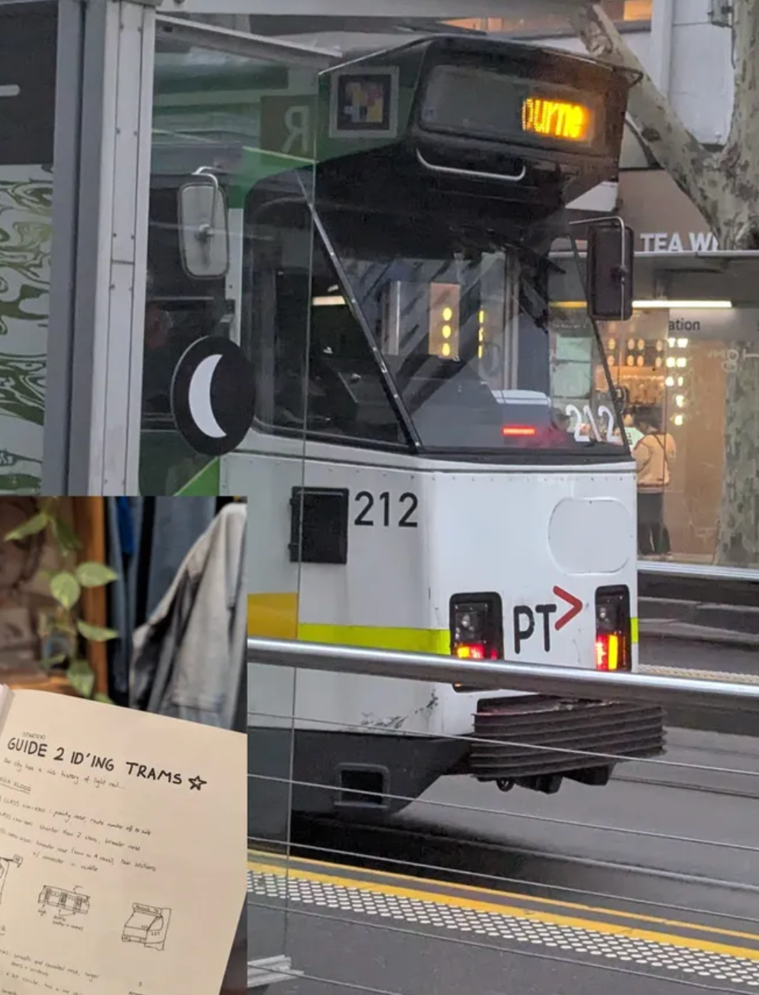 Show Pony, Issue #01