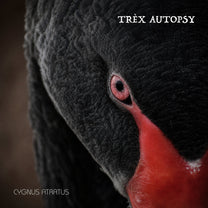 T-Rex Autopsy – Cygnus Atratus 2CD