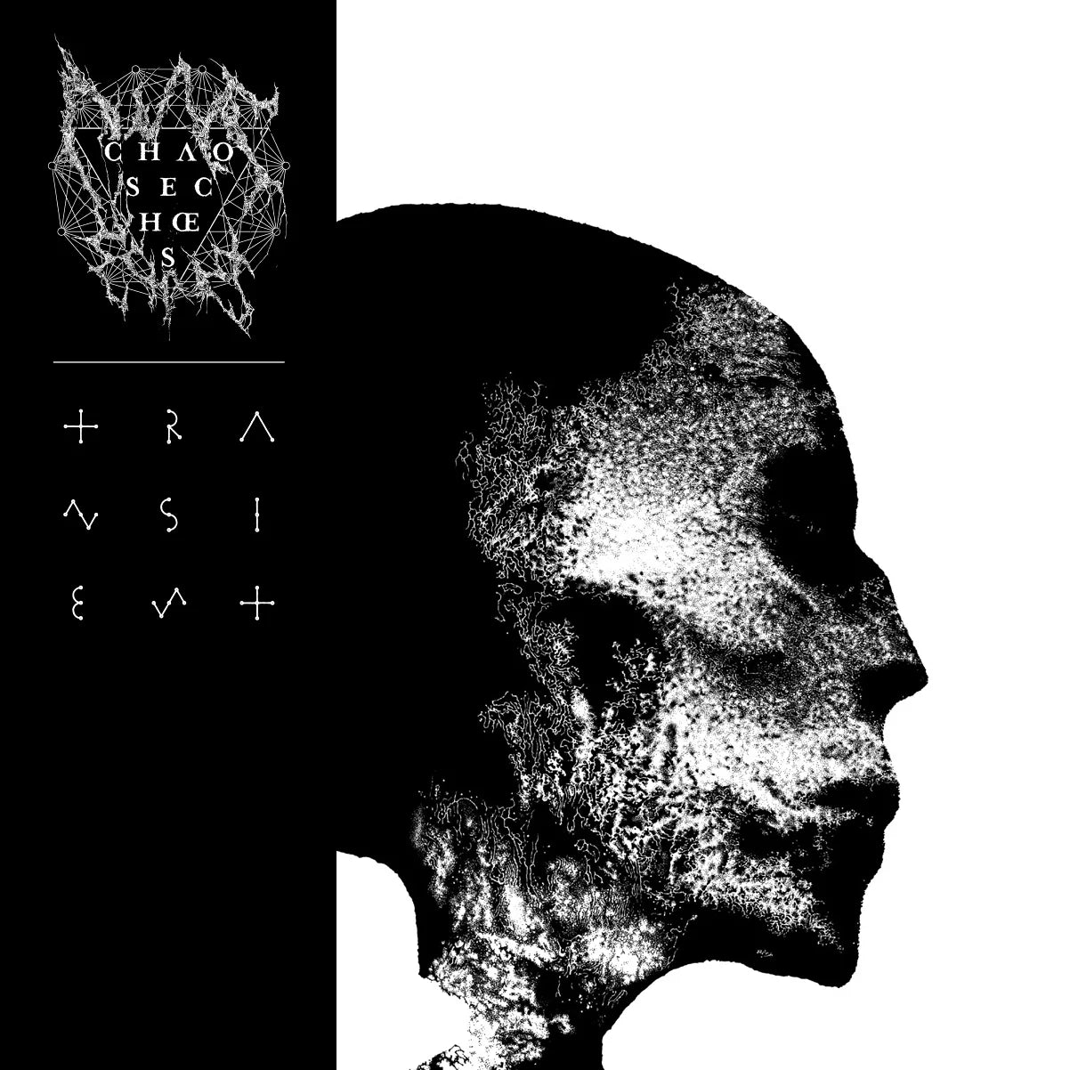 Chaos Echœs – Transient 2MC