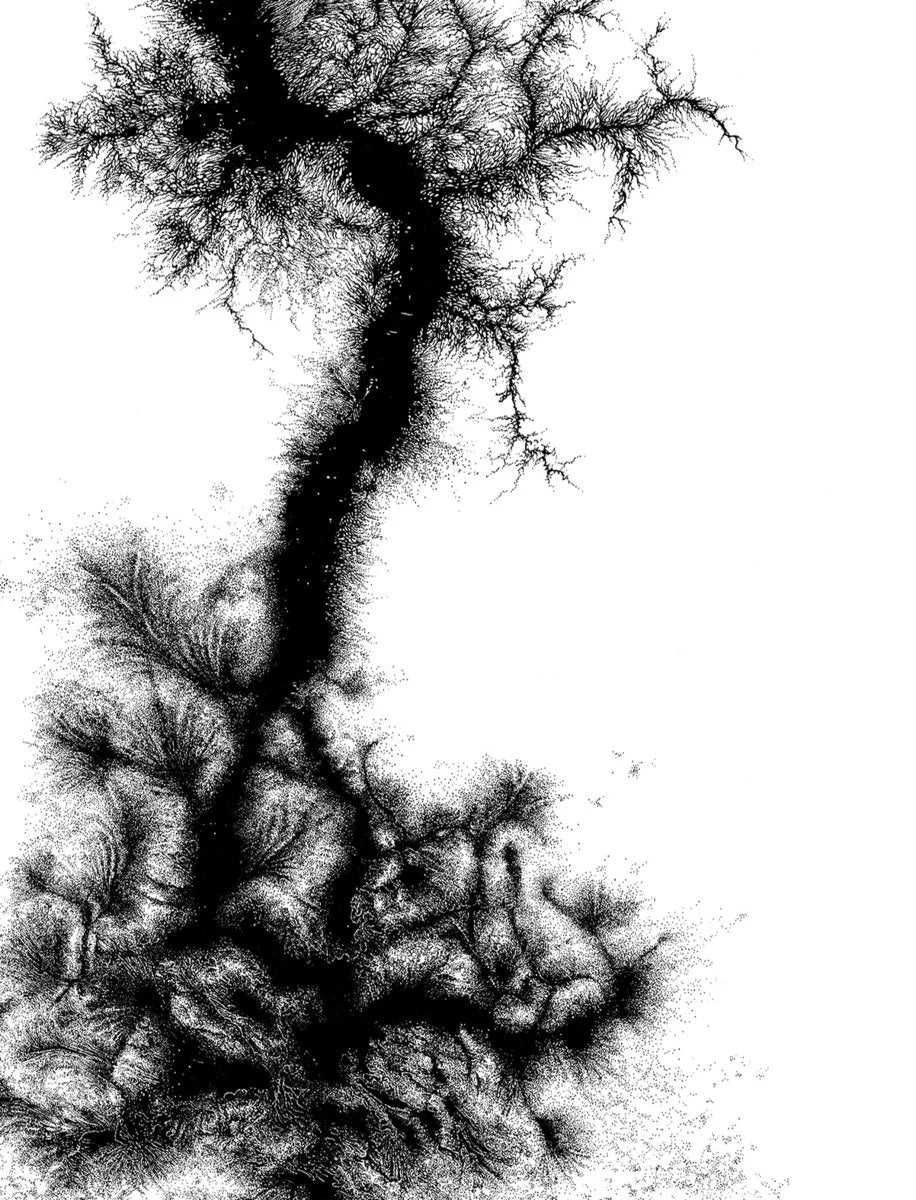 Chaos Echœs – Transient 2MC