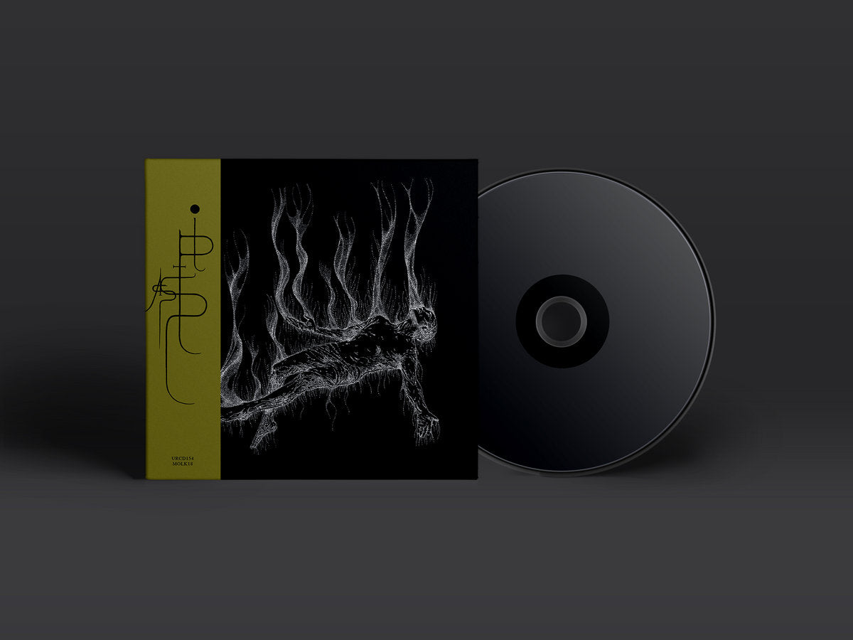 Tony Lugo &amp; Frank Rosaly – Pistas CD
