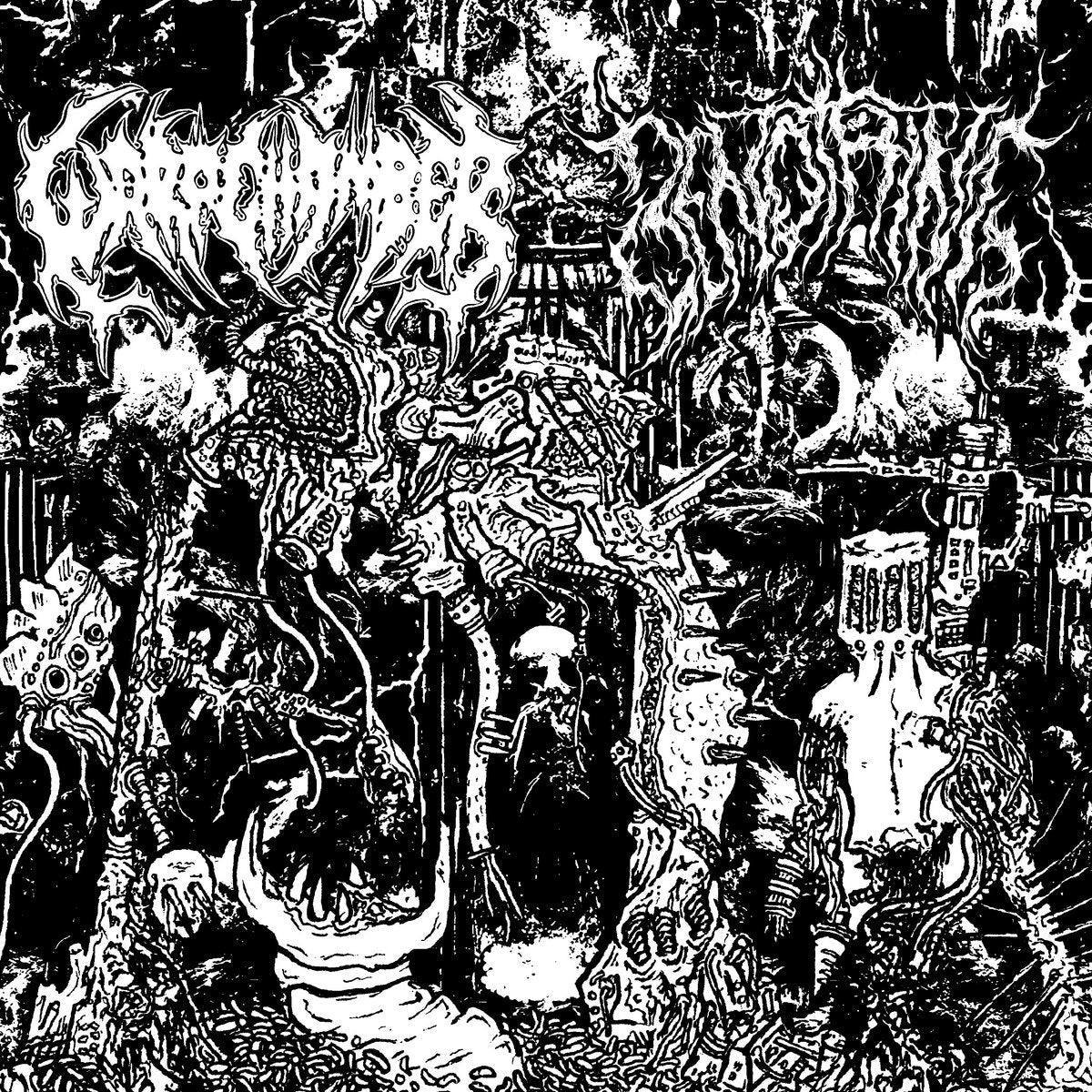Warp Chamber / Benothing – S/T Split 7"