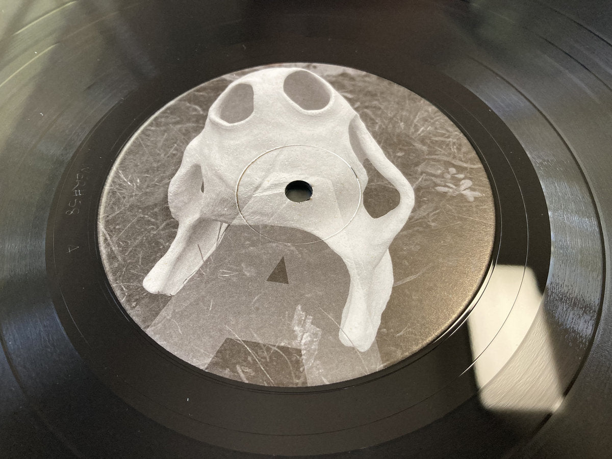 Dead – The Laughing Shadow LP