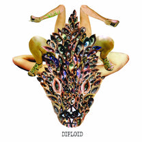 Diploid – Is God Up There? LP (Rare / Used, NM)