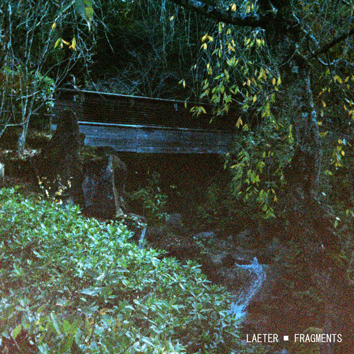 Laeter – Fragments LP