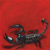 Field Of Fear – Scorpion LP