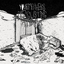 Your Mothers Disgusting Window – S/T CD