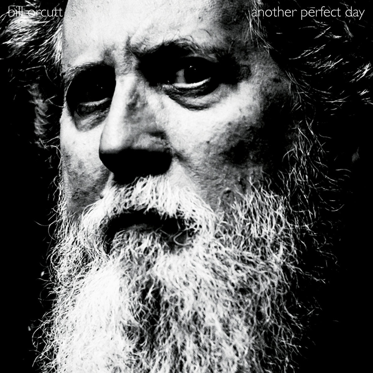 Bill Orcutt – Another Perfect Day LP