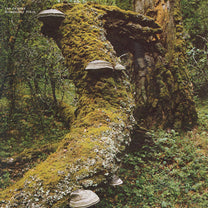Jan Jelinek – Kosmischer Pitch LP