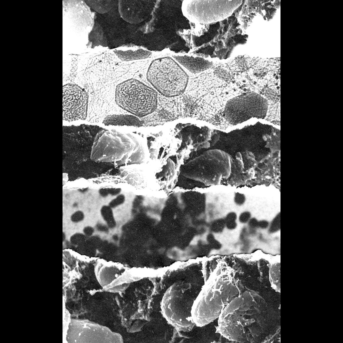 Death Appeal – Zero Prospect MC