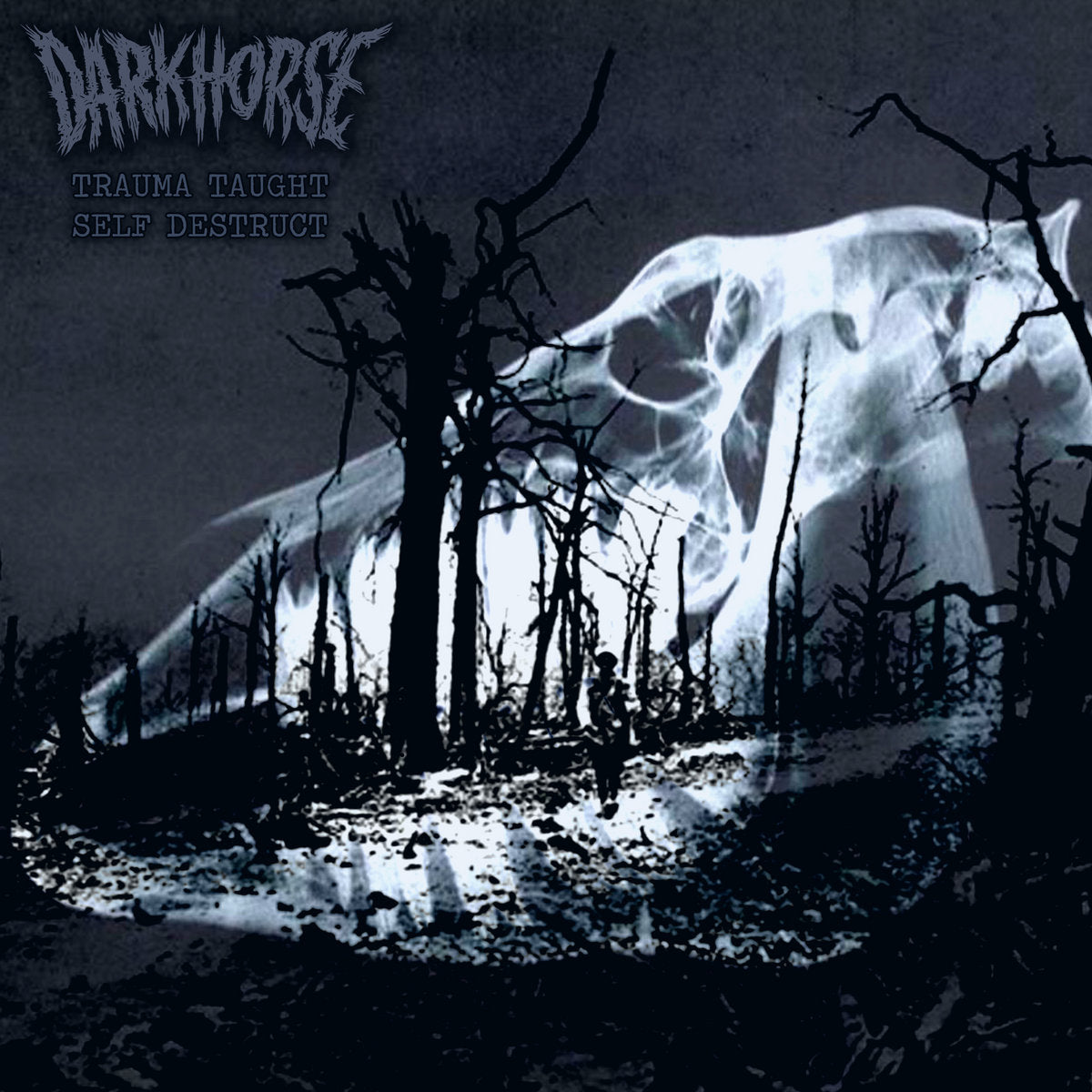 Darkhorse – Trauma-Taught Self-Destruct LP (Rare / Used, M)