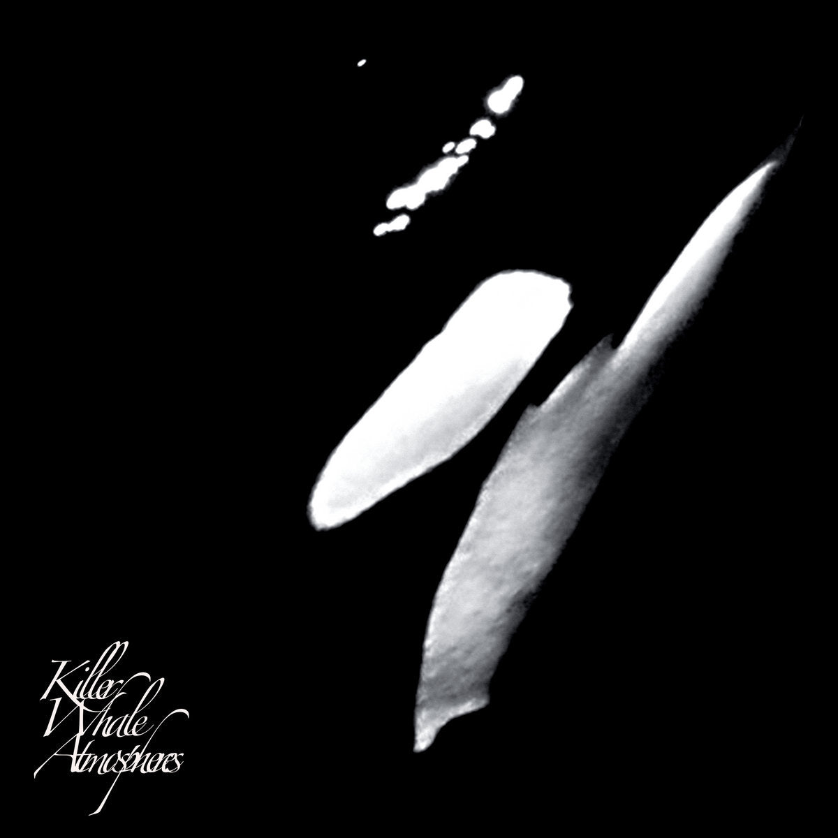 Rainforest Spiritual Enslavement – Killer Whale Atmospheres CD
