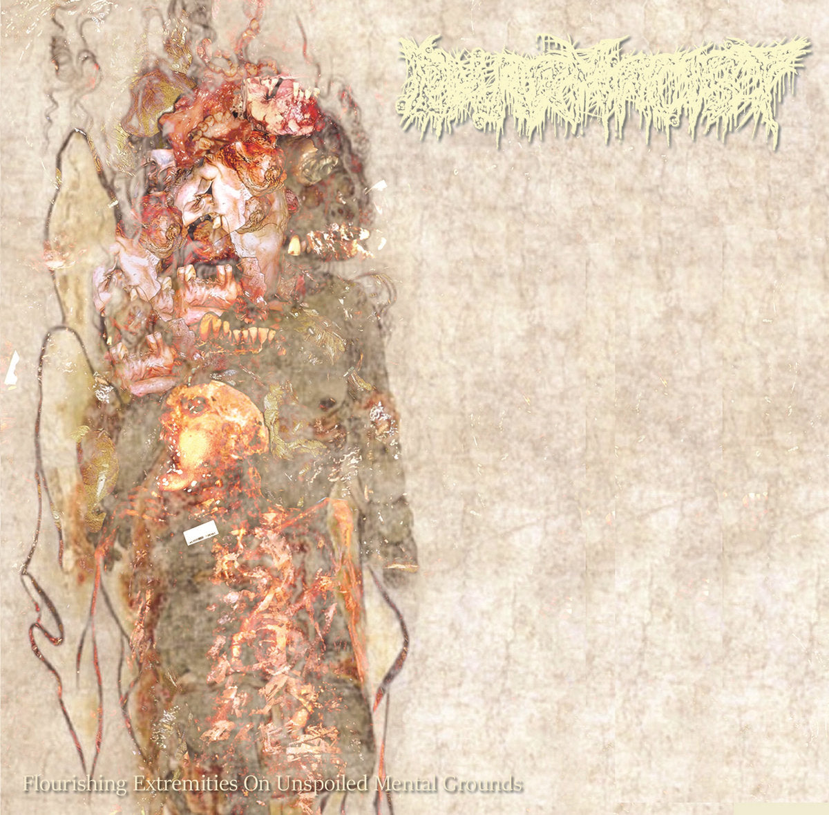 Pharmacist – Flourishing Extremities On Unspoiled Mental Grounds LP