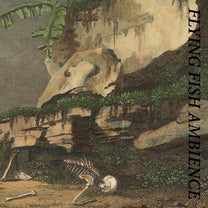 Rainforest Spiritual Enslavement – Flying Fish Ambience CD