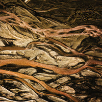 Krallice – Psychagogue LP