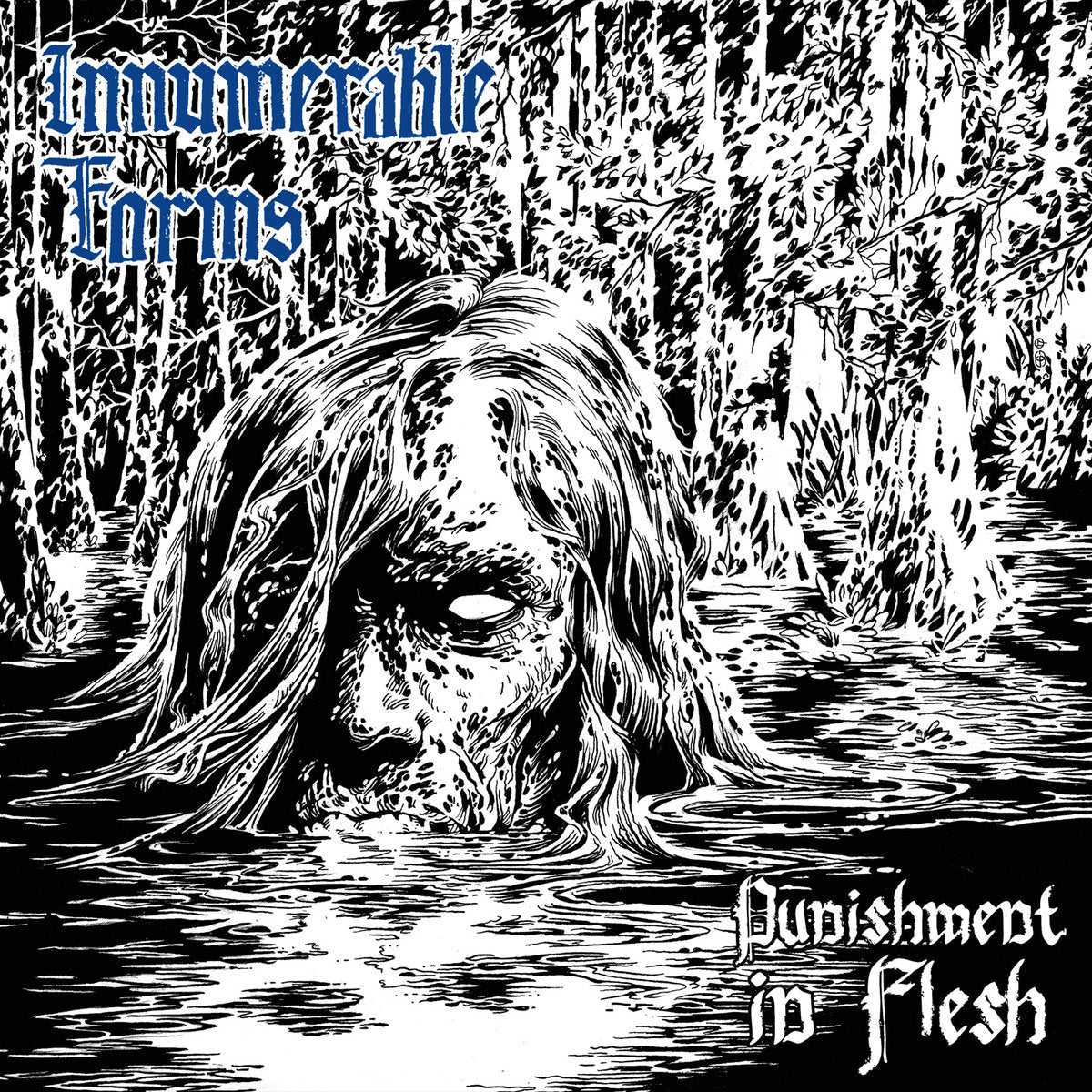 Innumerable Forms – Punishment In Flesh CD