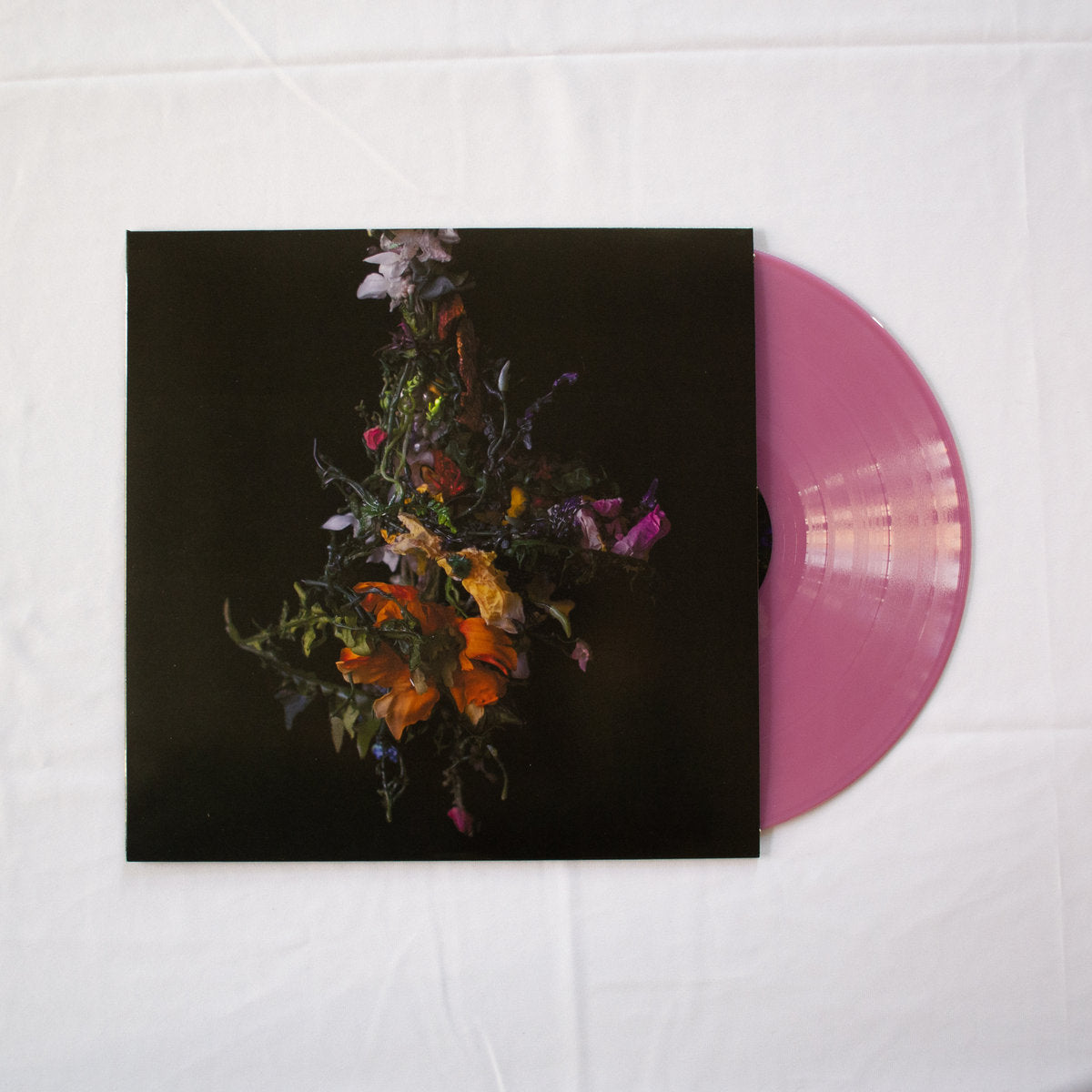 Big|Brave – nature morte LP