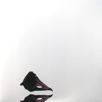 Coil – The New Backwards LP