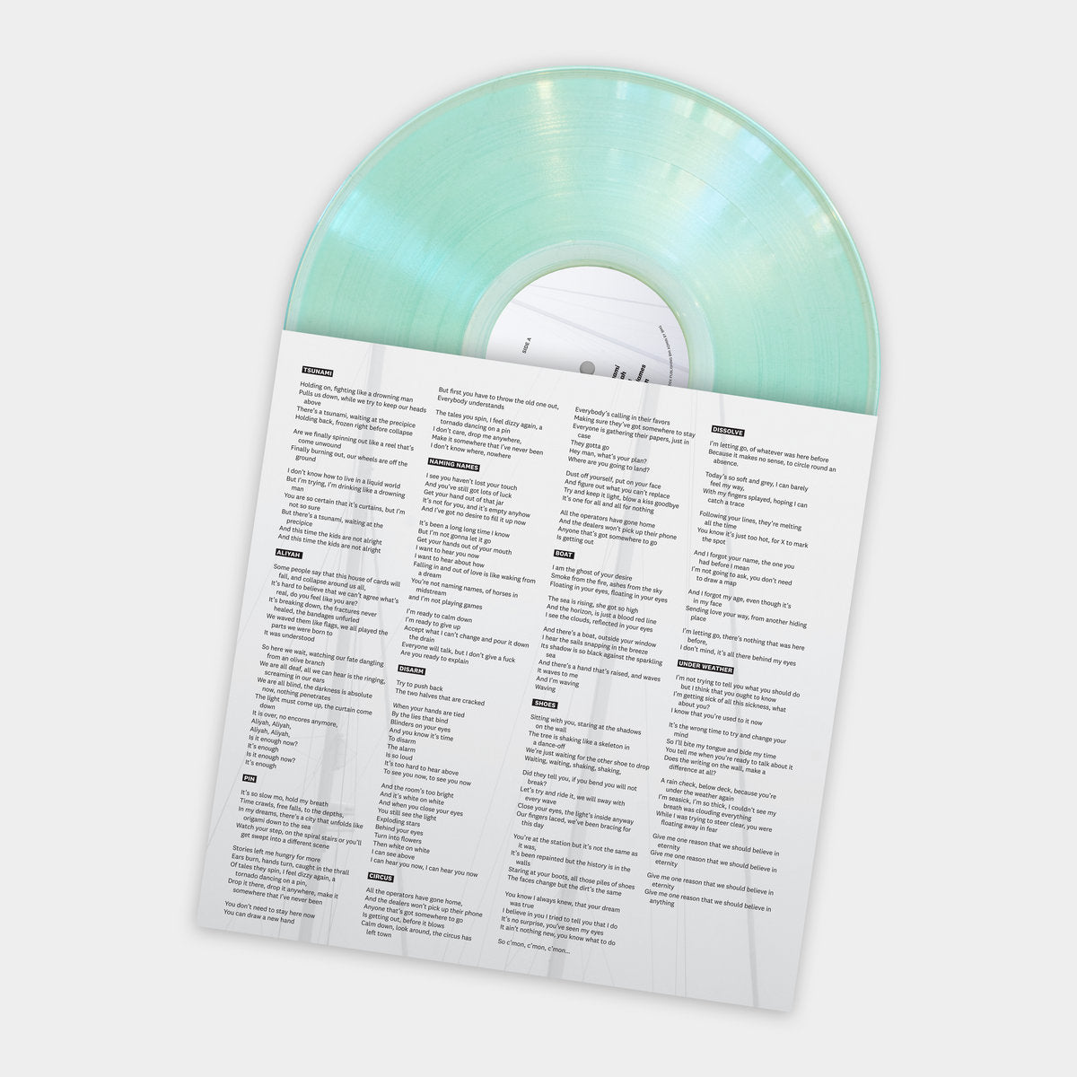 Thalia Zedek Band – The Boat Outside Your Window LP