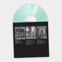 Thalia Zedek Band – The Boat Outside Your Window LP