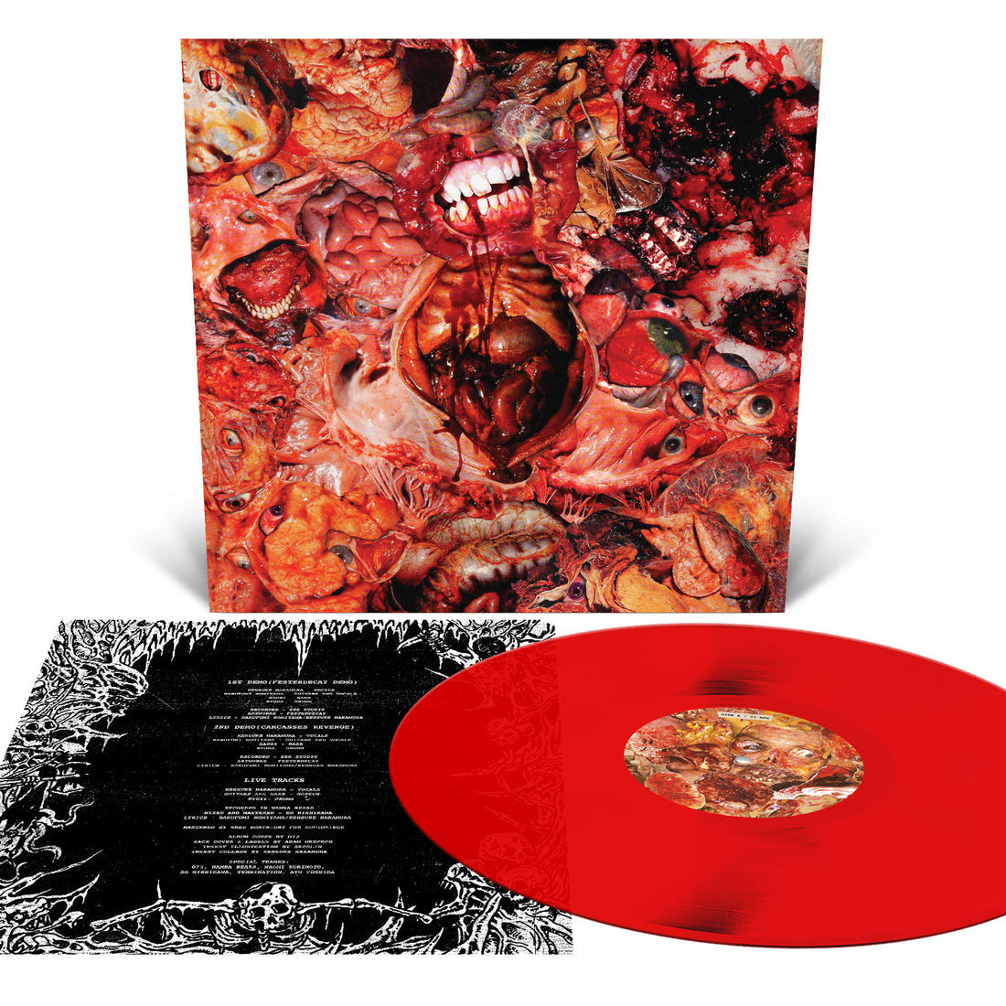 FesterDecay – From Demo To Rot LP