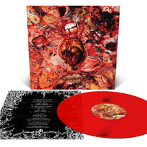 FesterDecay – From Demo To Rot LP