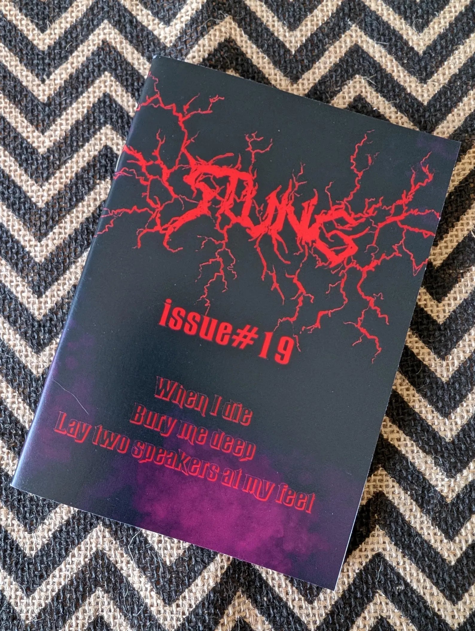 Stung, Issue #19 BK/Zine