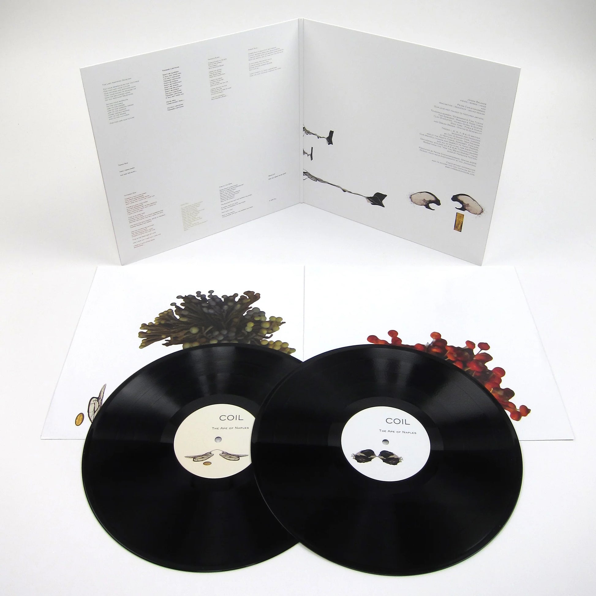 Coil – The Ape Of Naples 2LP