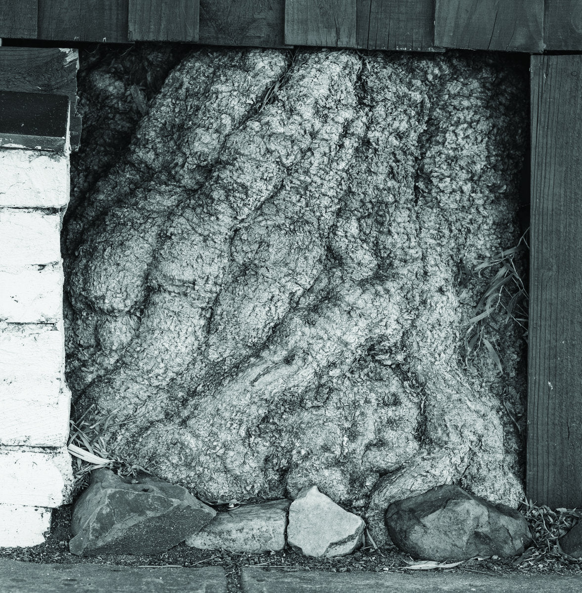 Urchyn – Low-lying Plains LP