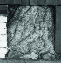 Urchyn – Low-lying Plains LP