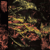 Hissing – Permanent Destitution MC