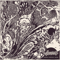Seraphic Entombment – Sickness Particles Gleam 2LP