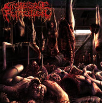 Grotesque Formation – Basement Decompositions CD