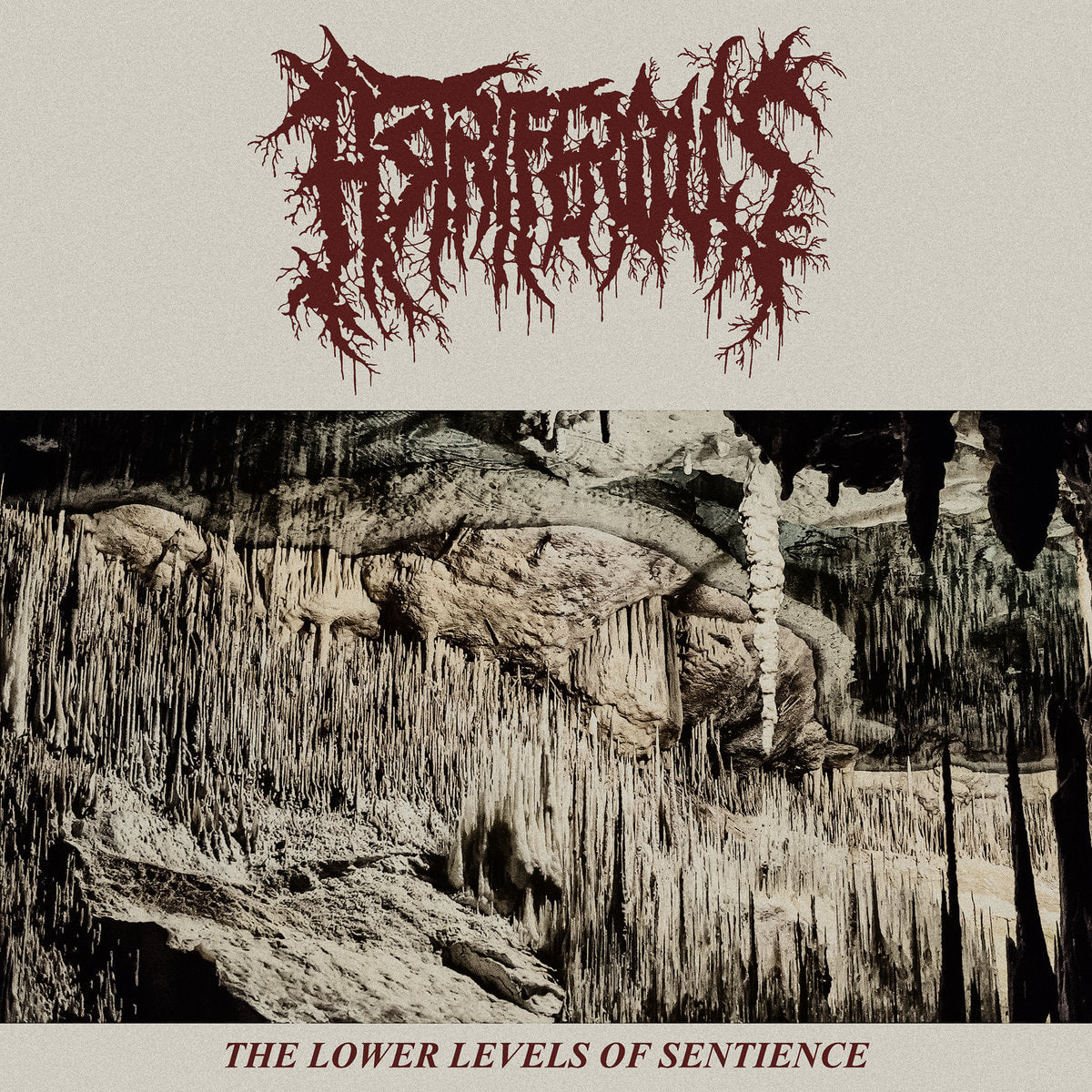 Astriferous – The Lower Levels Of Sentience LP