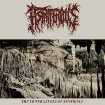 Astriferous – The Lower Levels Of Sentience LP