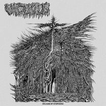 Vacuous – Dreams of Dysphoria CD