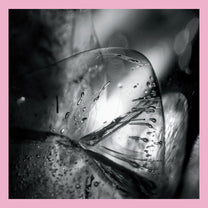 Loscil – Clara 2LP