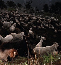 Juarez – Revontulet CD