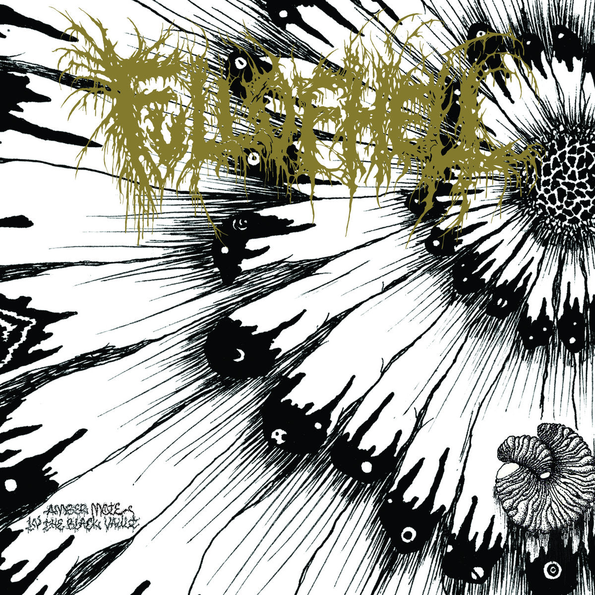 Full Of Hell – Amber Mote In The Black Vault 7&quot;
