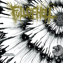 Full Of Hell – Amber Mote In The Black Vault 7&quot;