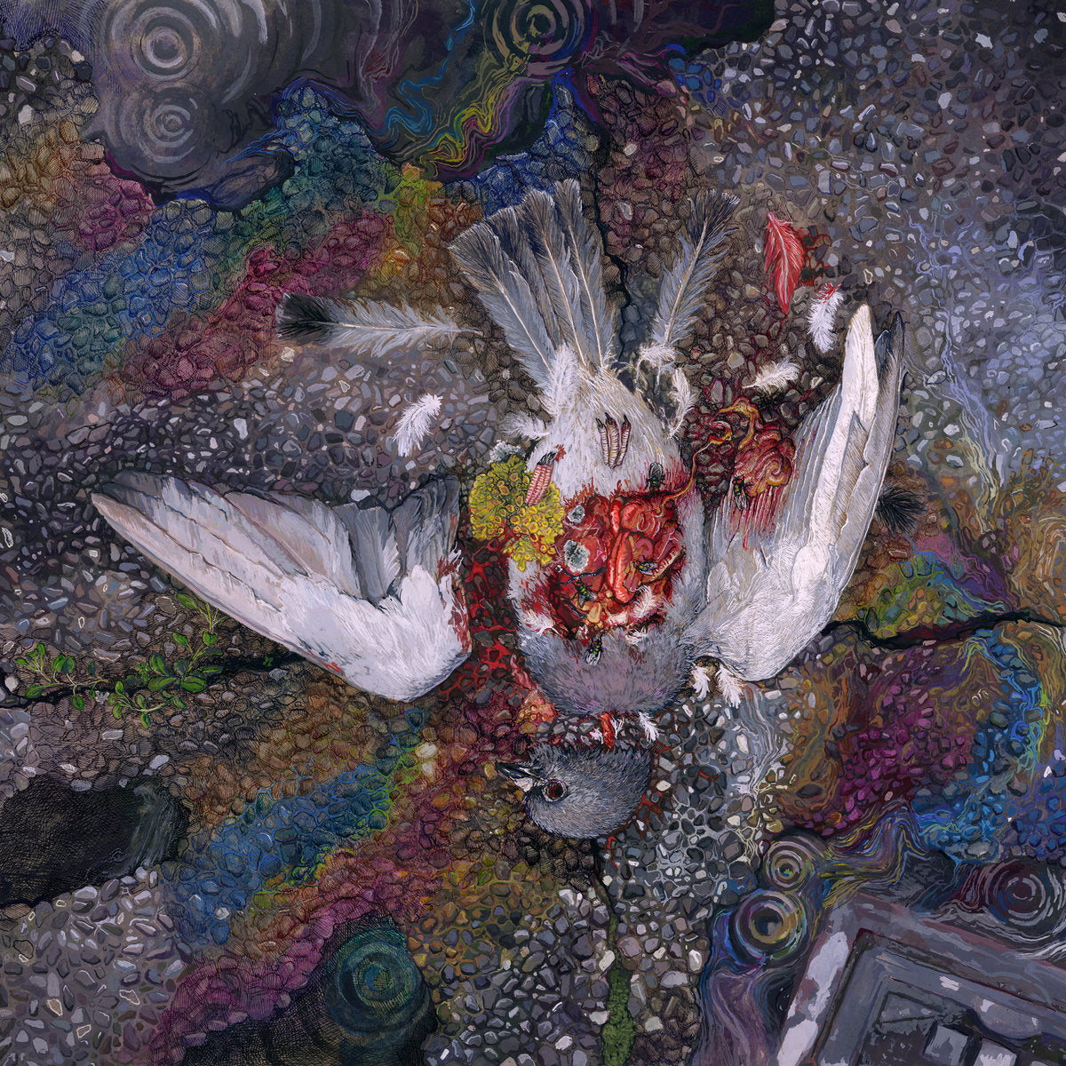 Pyrrhon – Exhaust LP