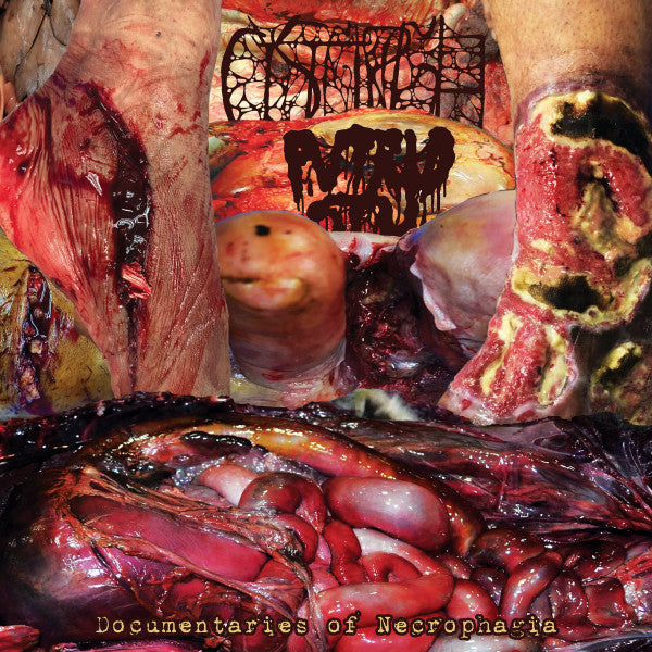 Cystgirgle / Putrid Stu – Documentaries of Necrophagia CD